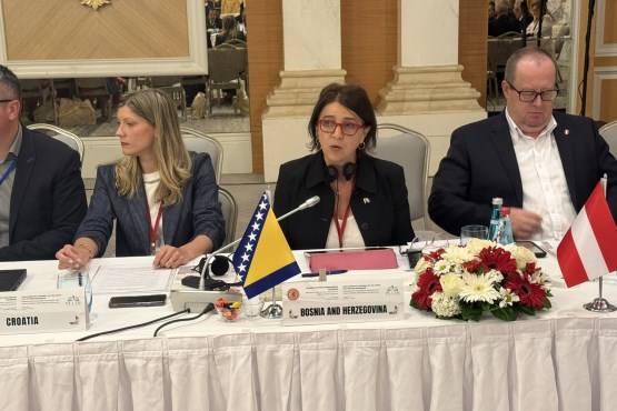 Zamjenica predsjedavajućeg Delegacije PSBiH u PSUzM Rejhana Dervišević učestvovala u Istanbulu na sjednici Komiteta PSUzM za ekonomska i finansijska pitanja, socijalna pitanja i obrazovanje 